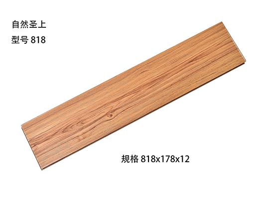 自然圣上-高光亮面系列818.jpg